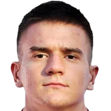 Mirko Topic