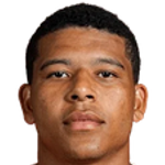 Vinicius Lopes