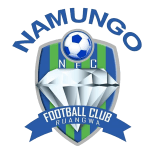 Logo Namungo FC