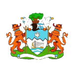 Freetown City logo