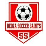 Logo Dedza Young Soccer