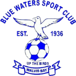 Logo Blue Waters