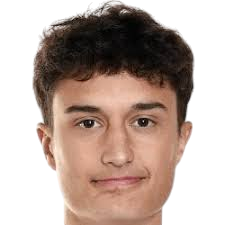 Matija Mitrovic