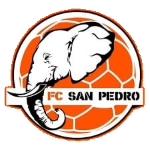 Logo San Pedro