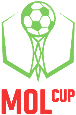 Cseh Kupa logo