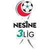 3. Lig logo