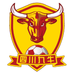 Logo Shenzhen Peng City