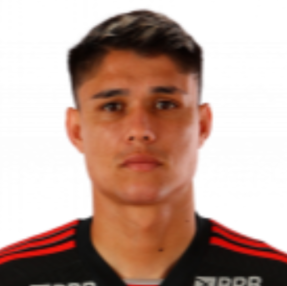 Luiz Araujo