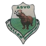 Logo ASVO