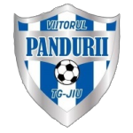 Viitorul Pandurii Targu Jiu logo