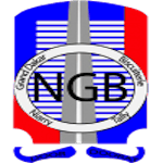 Logo Niary Tally