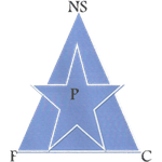 Logo New Stars