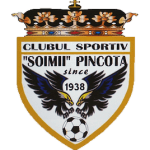 CS Soimii Pancota logo