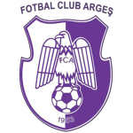 FC Arges Pitesti