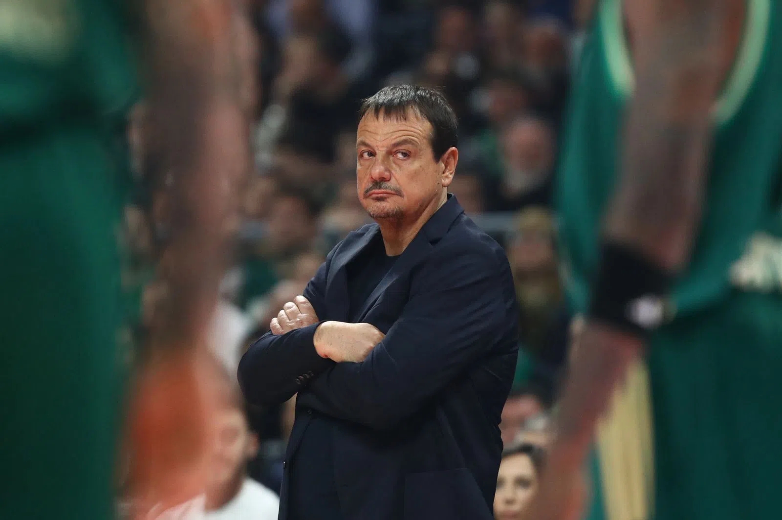 Παναθηναϊκός-Ζάλγκιρις: Με όλες του τις δυνάμεις για το 2.65