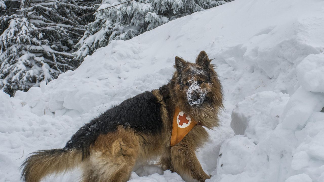 Времето е ясно с умерен до силен вятър във високите