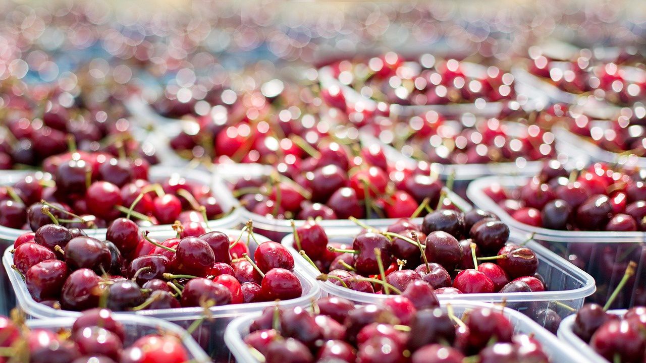 Черешите на едро продължават да поевтиняват