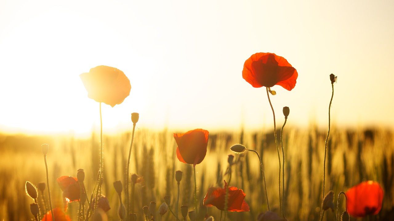 Слънчево и горещо време през трите почивни дни