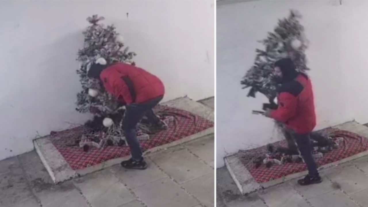 Откраднаха коледна елха в Перник