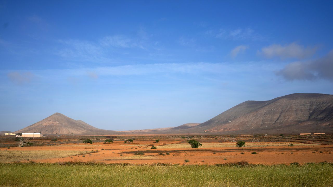 Испания е застрашена от загуба на значителна част от реколтата на пшеница и ечемик