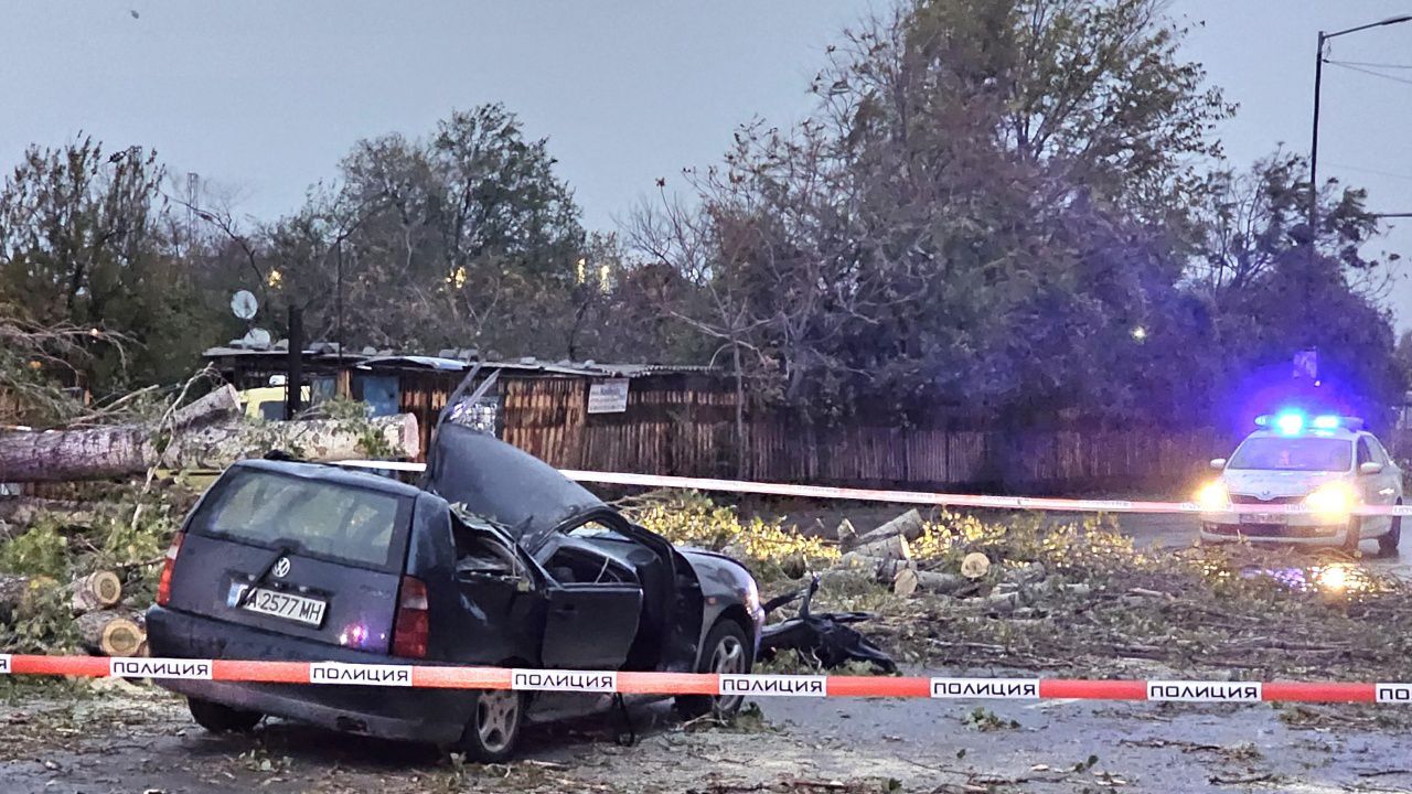 Мъж загина от паднало върху колата му дърво в столицата