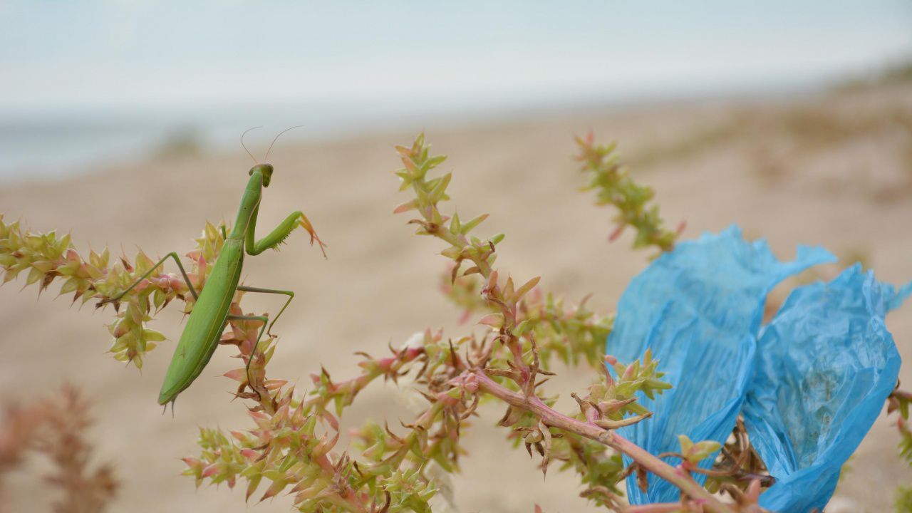 МОСВ разпореди проверки за замърсяване с отпадъци на територията на цялата страна