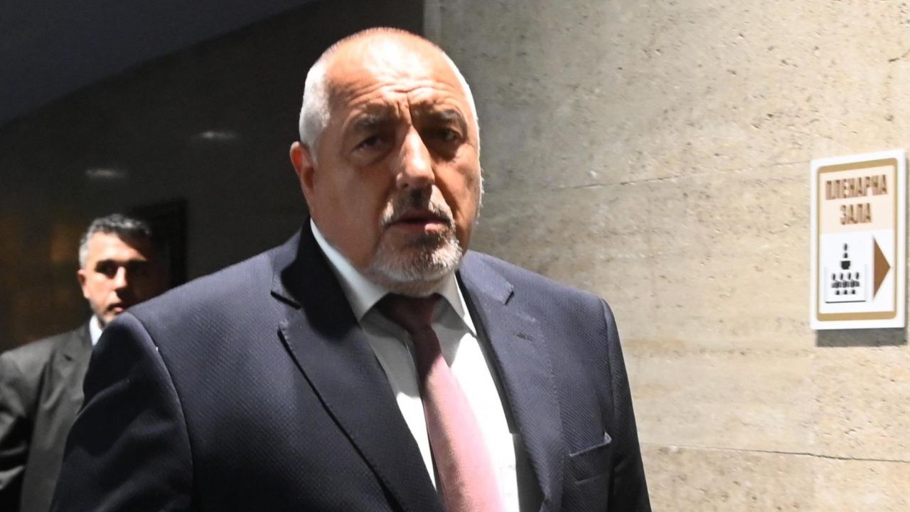 Бойко Борисов се срещна с германски депутати в София