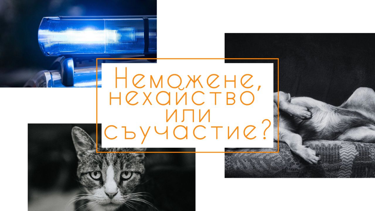 И пак за насилието. МВР, обвинение и съдии – неможене, нехайство или съучастие?