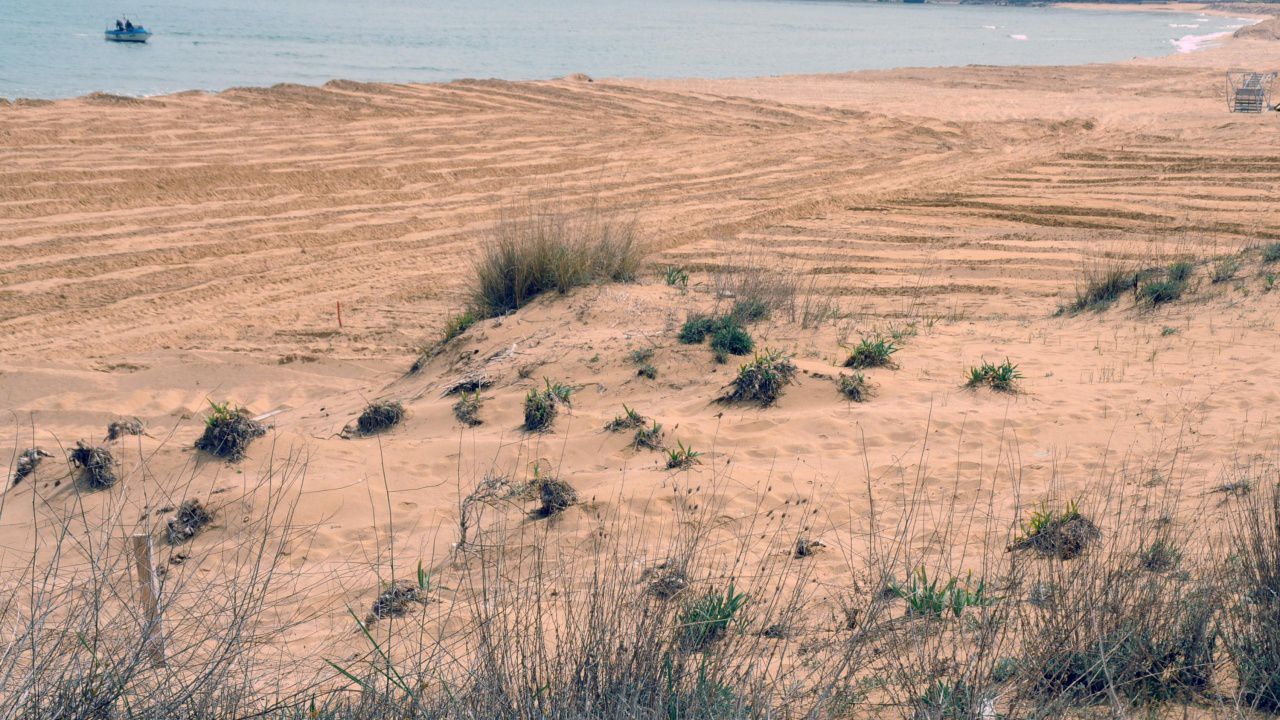 Сдружение "Балканка": Държавата ще дава части от Черно море за изграждане на ветропаркове