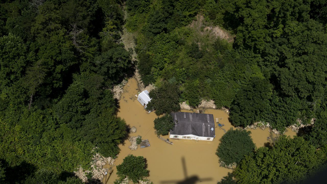 Над 200 000 домашни животни са загинали в наводненията в Гърция