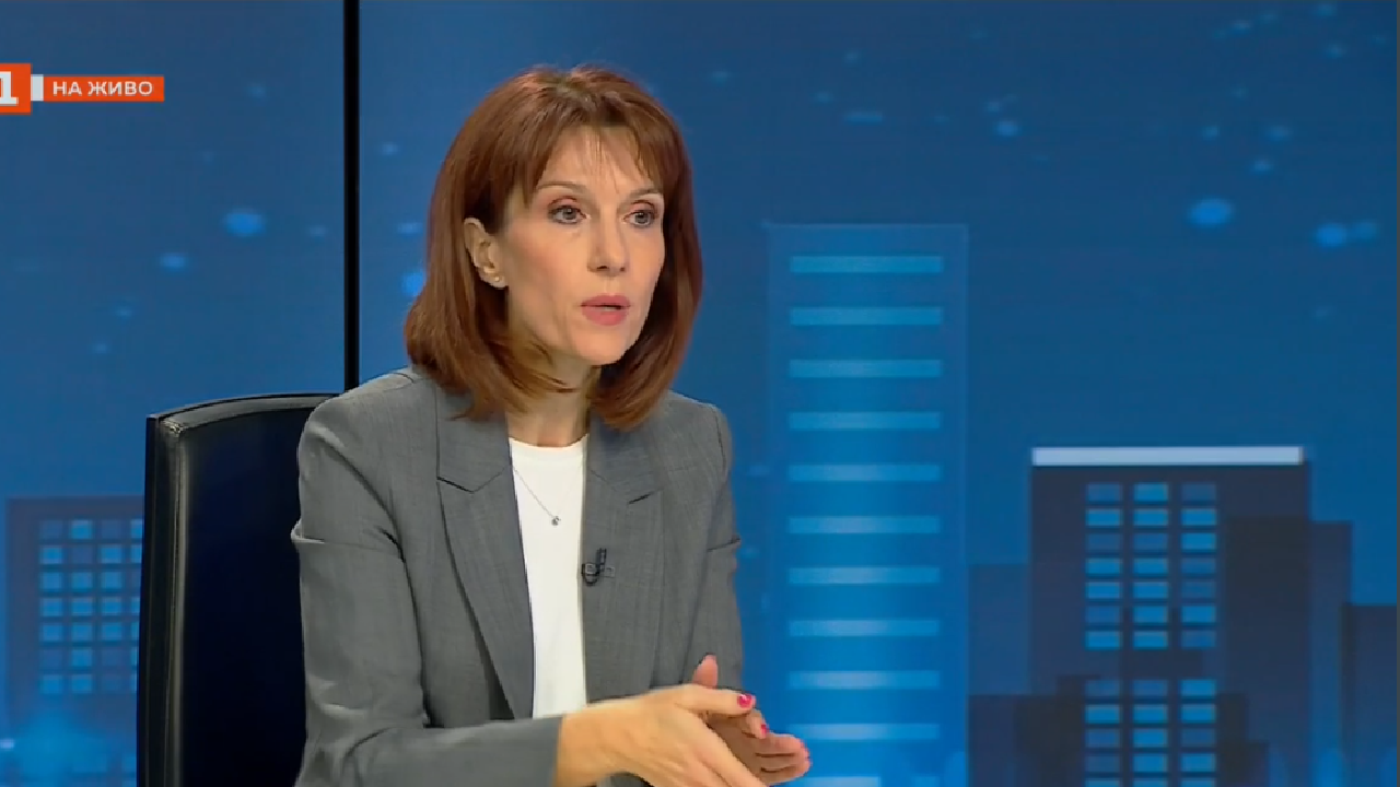 Камелия Нейкова: Нямаше как ЦИК да пренебрегне предупреждението на ДАНС