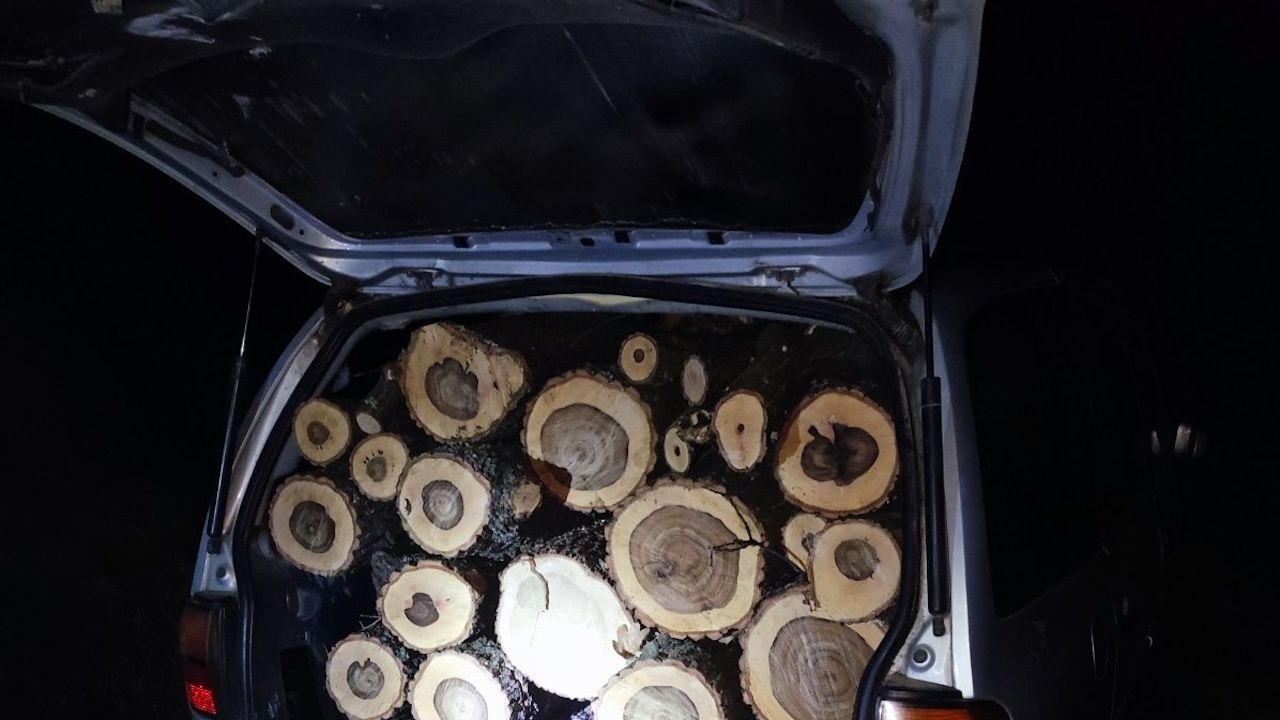 Задържаха два автомобила с незаконна дървесина след среднощна гонка