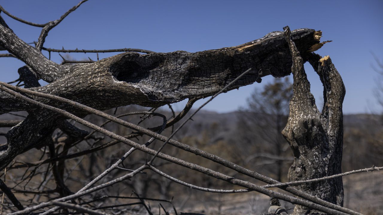 Фините прахови частици над Гърция - 10 пъти над нормата заради пожарите