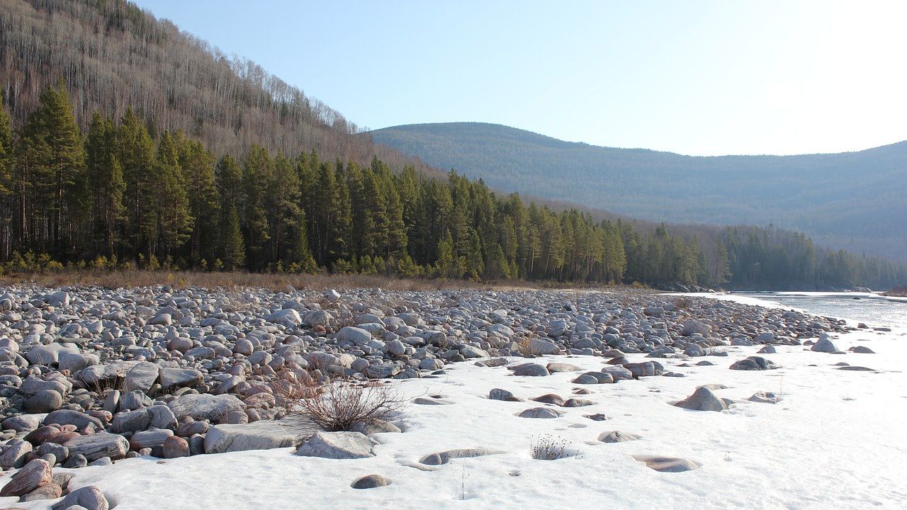 Арктика и тайгата се затоплят по-бързо от всеки друг регион на Земята