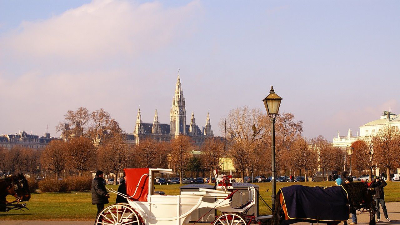 Конете във Виена вече ще са с пластмасови подкови