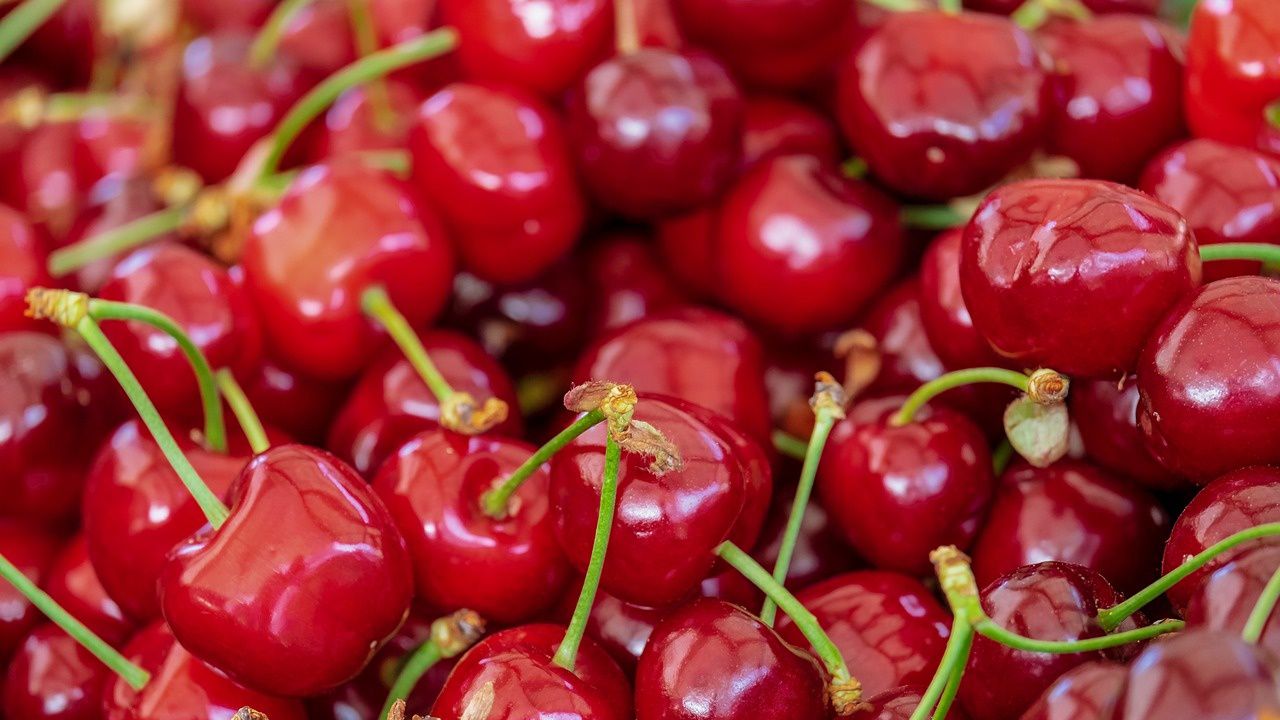 Все още няма български череши на пазара заради лошото време