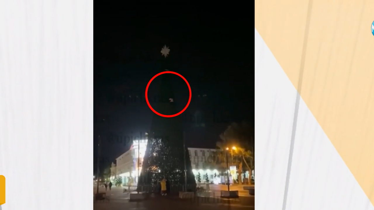 Мъртвопияна рускиня се качи на върха на 20-метрова елха