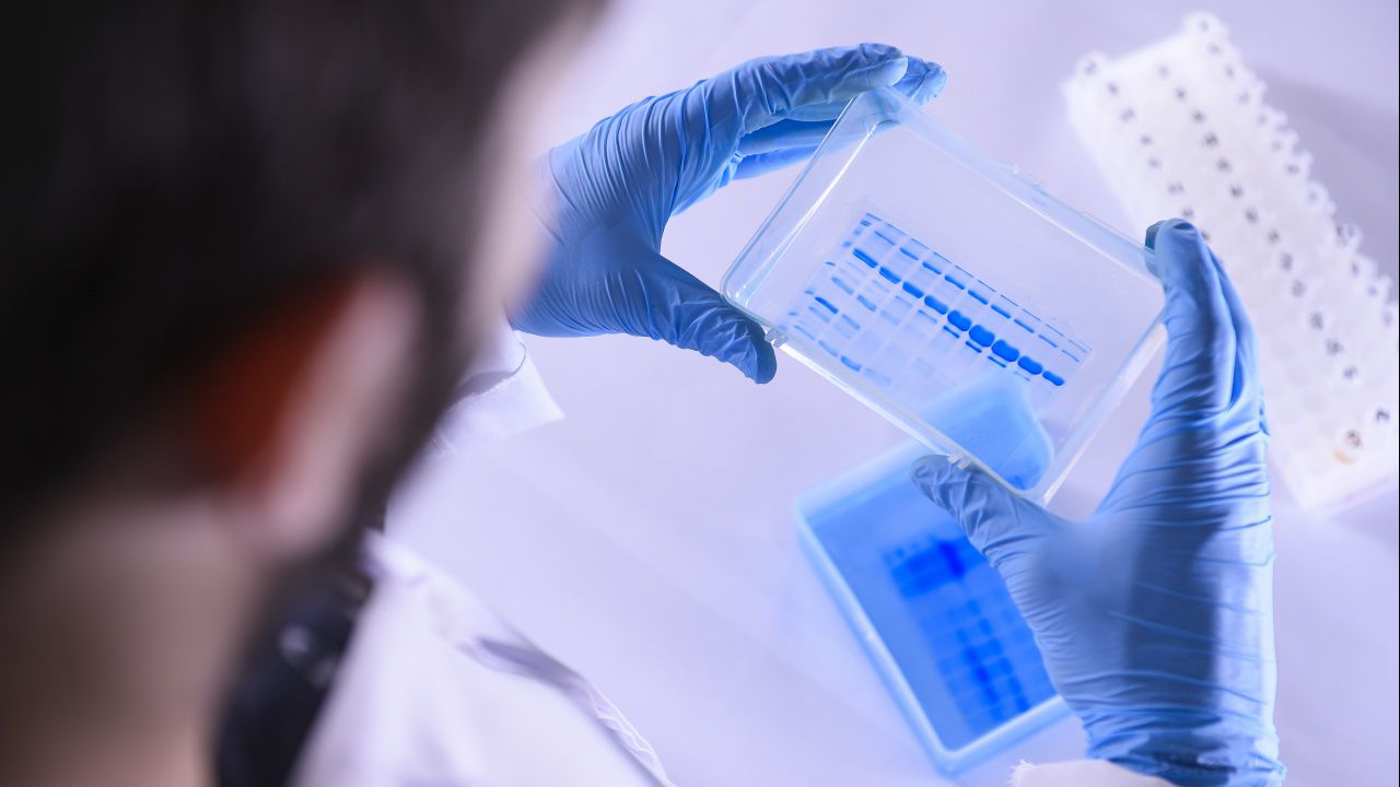 Повишава се заболеваемостта от COVID-19 в областите Бургас, Силистра, Русе и Габрово