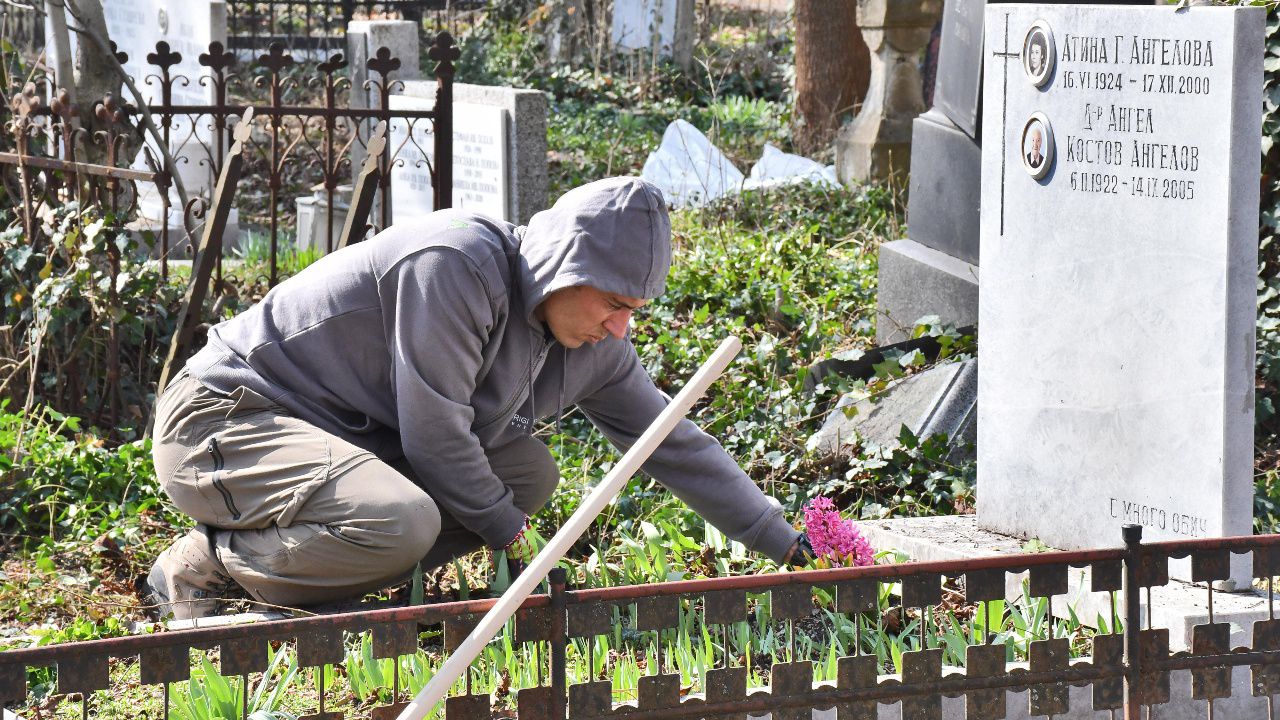 Започна мащабно почистване на гробищата в София
