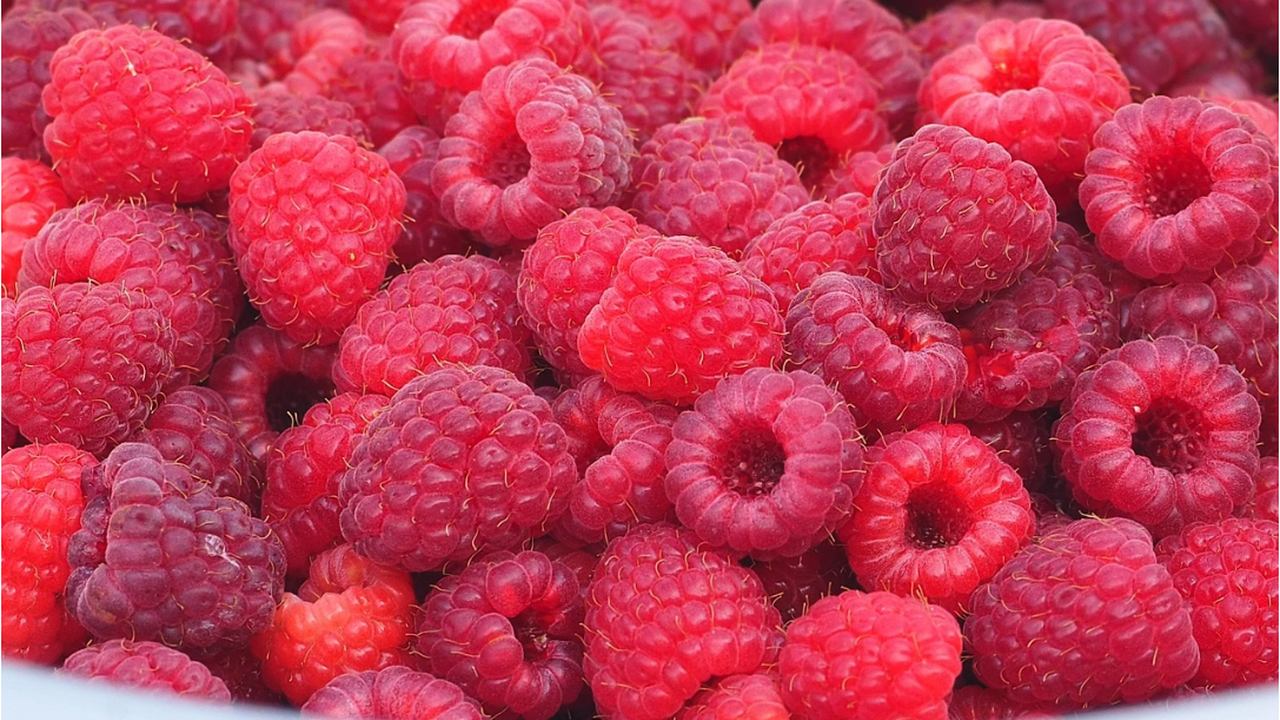 На 11, 12 и 13 юли Самоков ще бъде домакин