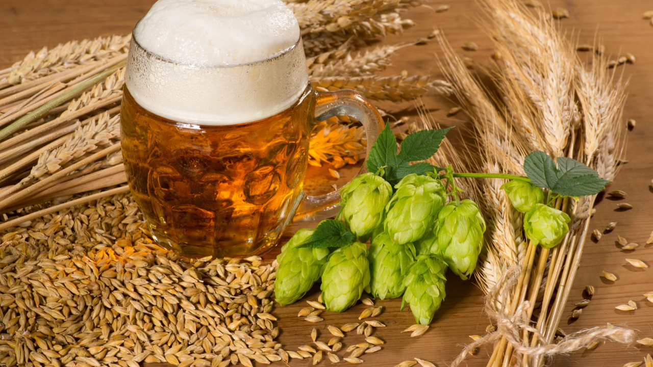 Страни членки на ЕС през 2024 г. са произвели 32,7