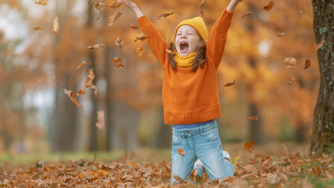 Прогноза за времето