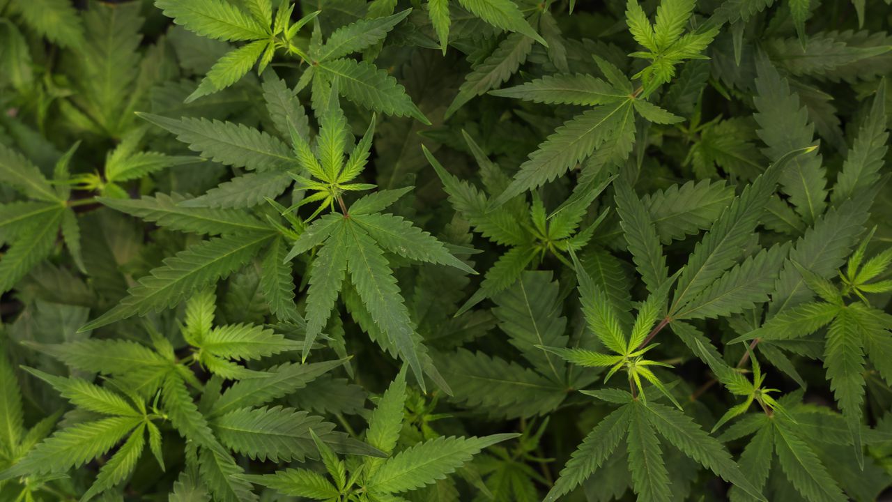 В колата са открити и иззети още чифт словенски регистрационни