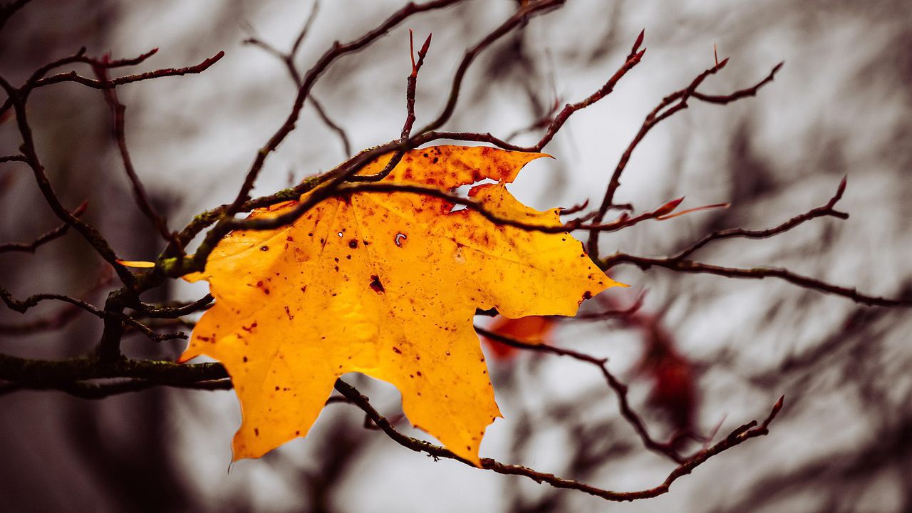 Атмосферното налягане ще се повишава и ще бъде по-високо от