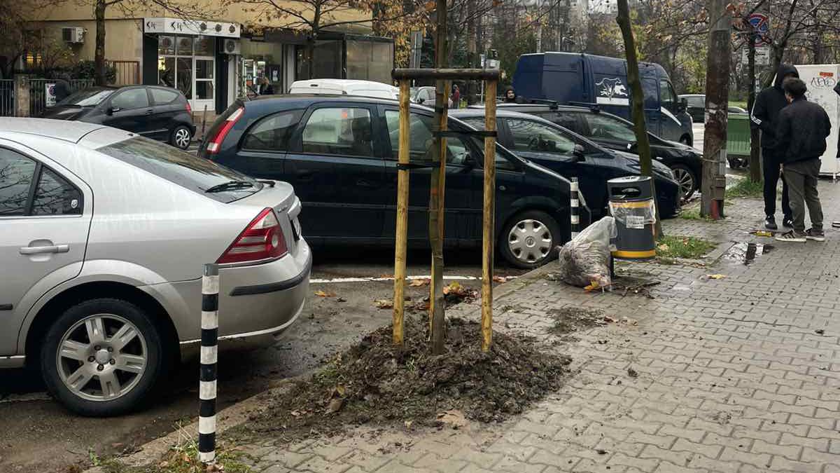 Експертите от Дирекция “Зелена система са предвидили и 150 бр.