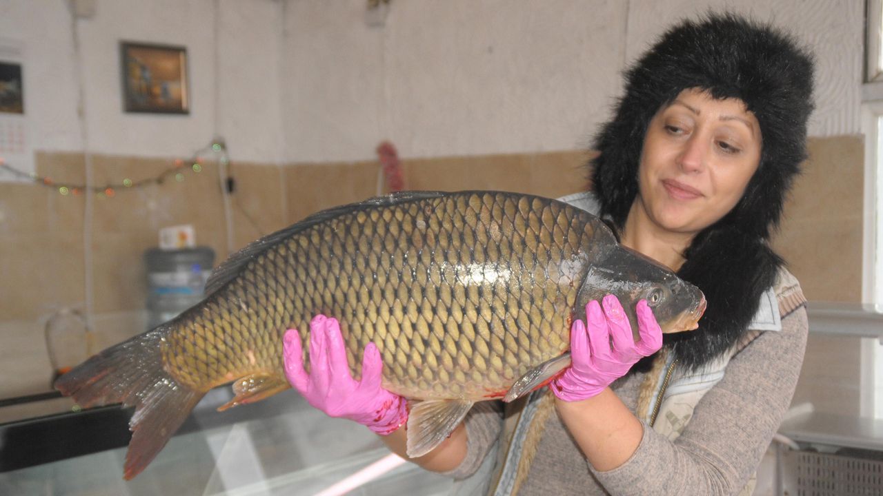 Той може да бъде закупен в обектите на големите хранителни