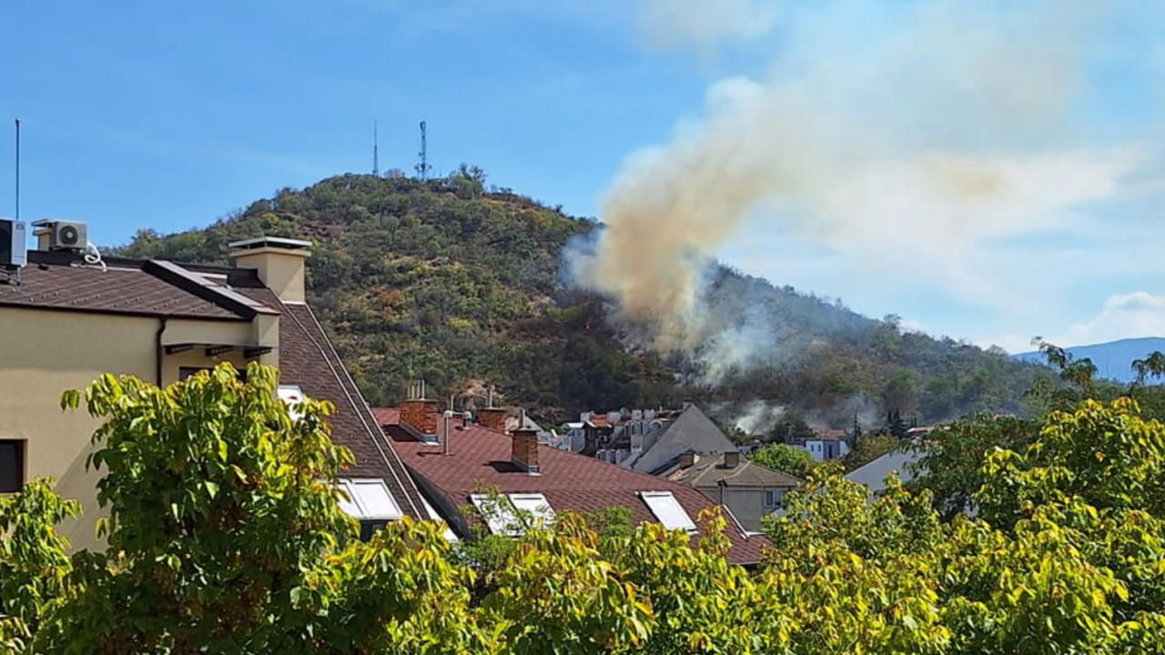 Мъж запали барбекюто си и предизвика пожар на най-високото тепе в Пловдив