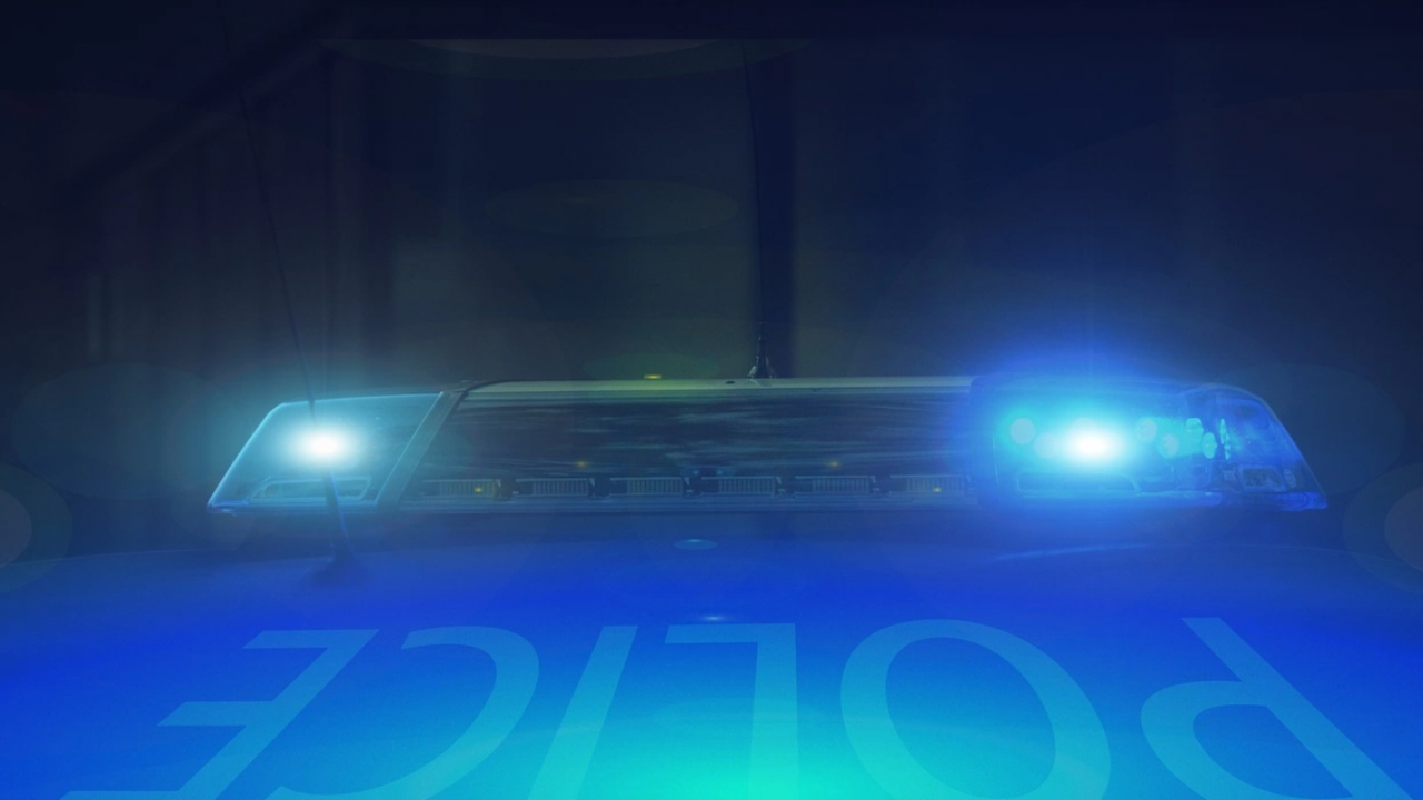 Шизофреник уби психично болната си майка