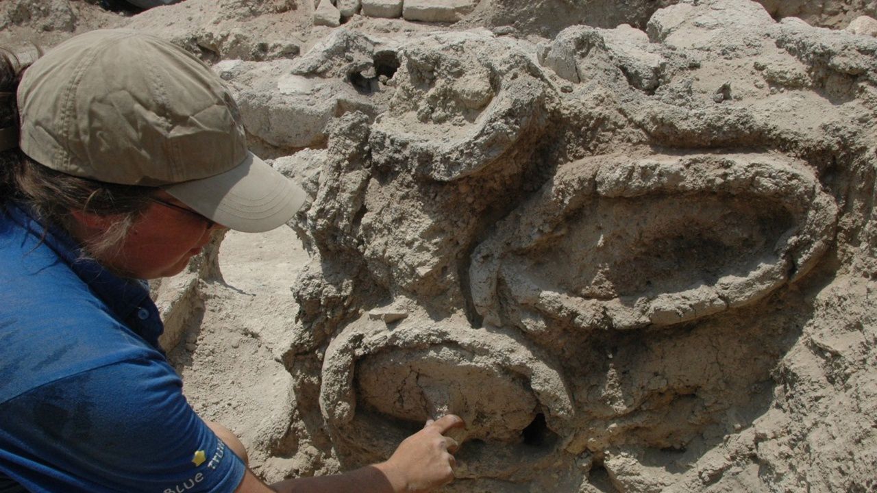 Започнаха археологически разкопки на селищна могила край новозагорското село Кортен