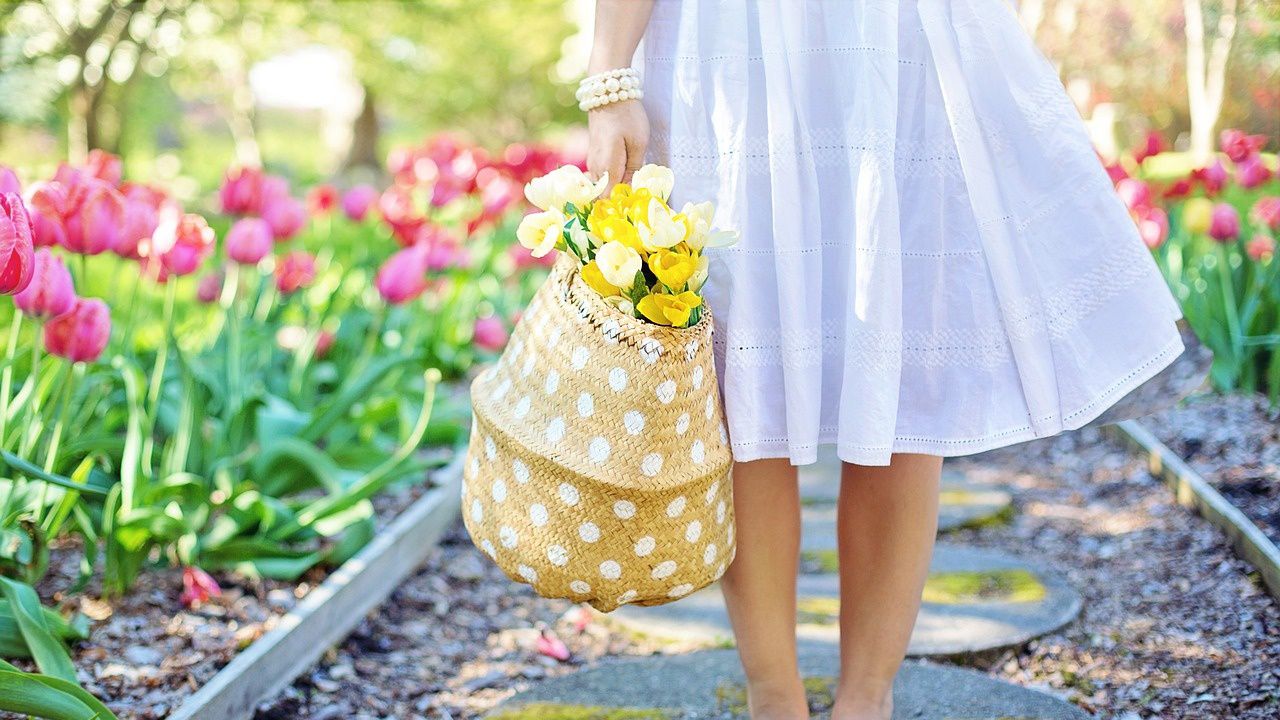 В петък и събота над по-голямата част от страната времето ще бъде предимно слънчево